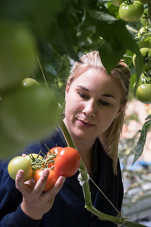DeRuiter_Leamington_Customer_0915