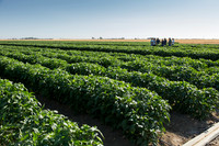 CommunityFoodBank_001