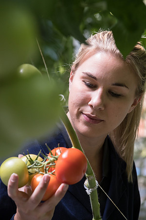 DeRuiter_Leamington_Customer_0911