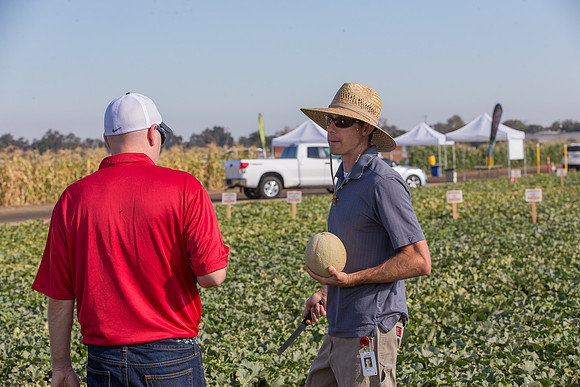 Melon_SV6239MF_CA_0061