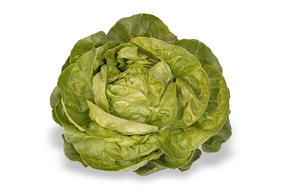 Lettuce_SV1235LB_CA_0273