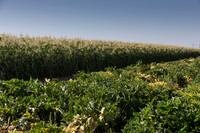 CommunityFoodBank_050