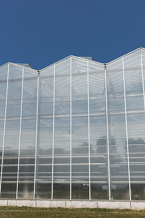 DeRuiter_Leamington_Customer_0557