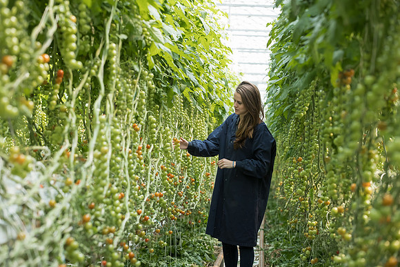 DeRuiter_Leamington_Customer_1178