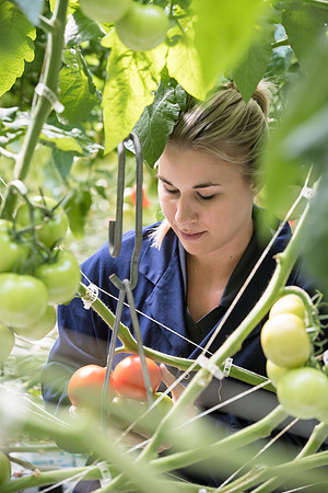 DeRuiter_Leamington_Customer_1012