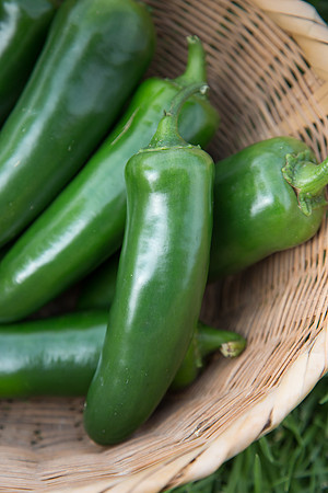 HotPepper_PS5810_MX_0022