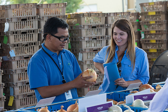 Onion_FieldDays_Woodland_CA_0055