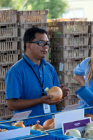 Onion_FieldDays_Woodland_CA_0061
