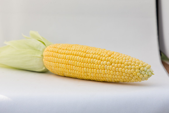 SweetCorn_SV5037SN_MX_0057