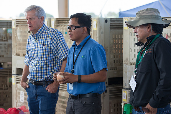 Onion_FieldDays_Woodland_CA_0009