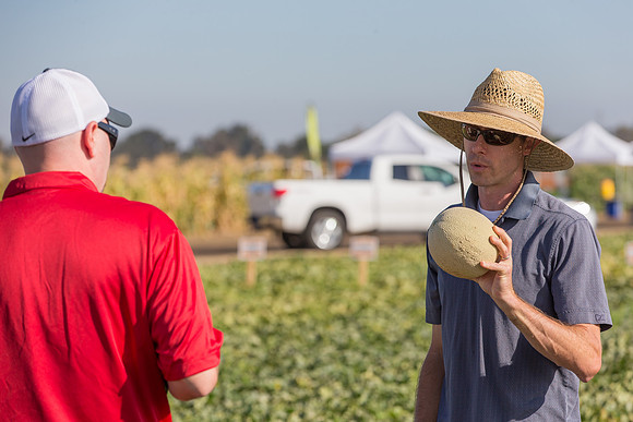 Melon_SV6239MF_CA_0056