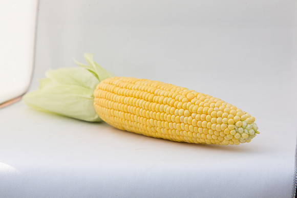 SweetCorn_SV5037SN_MX_0058