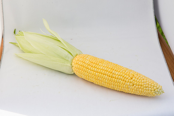 SweetCorn_SV5037SN_MX_0053