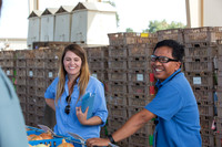 Onion_FieldDays_Woodland_CA_0018