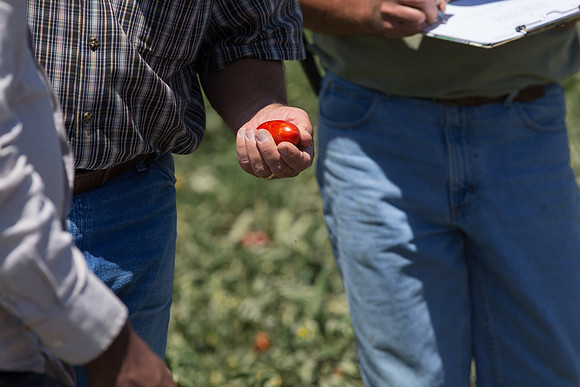 PTOM_AgSeeds_CA_00053