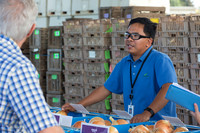 Onion_FieldDays_Woodland_CA_0030