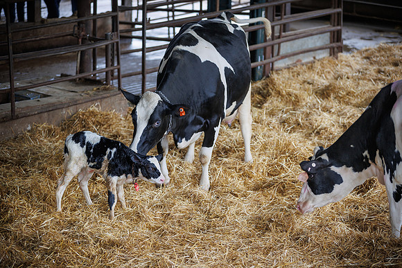 MidwestDairy_cdp_1344