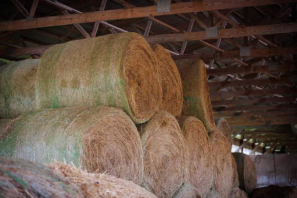 MidwestDairy_cdp_1655