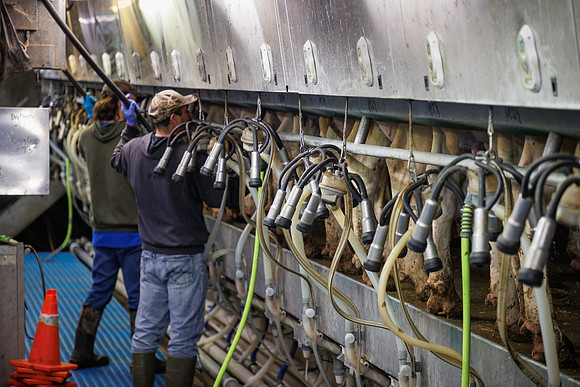 MidwestDairy_cdp_751