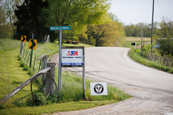 MidwestDairy_cdp_2