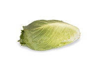 Lettuce_SV3135LG_CA_0041