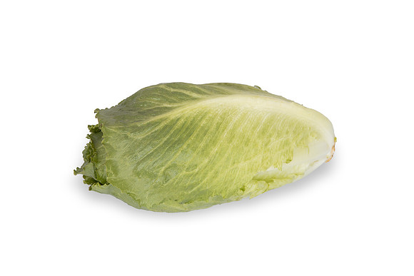 Lettuce_SV3135LG_CA_0041