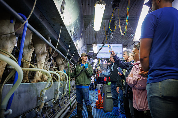 MidwestDairy_cdp_851