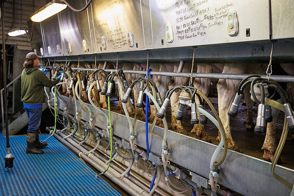 MidwestDairy_cdp_763