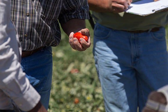 PTOM_AgSeeds_CA_00055