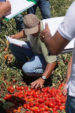PTOM_AgSeeds_CA_00059