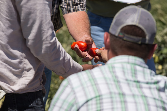 PTOM_AgSeeds_CA_00049