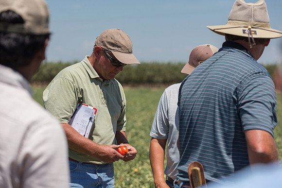 PTOM_AgSeeds_CA_00038
