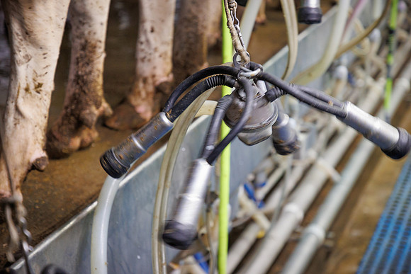 MidwestDairy_cdp_753