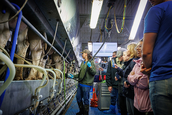 MidwestDairy_cdp_834
