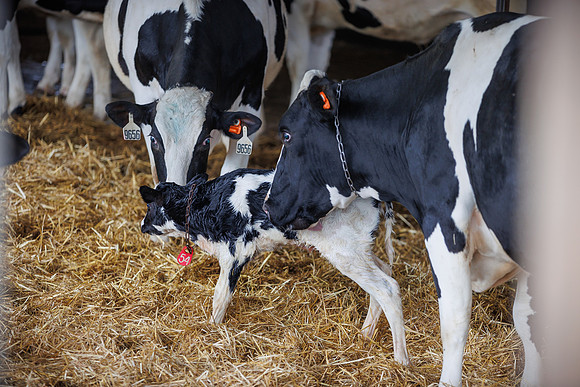 MidwestDairy_cdp_1322