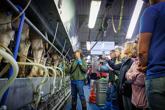 MidwestDairy_cdp_847