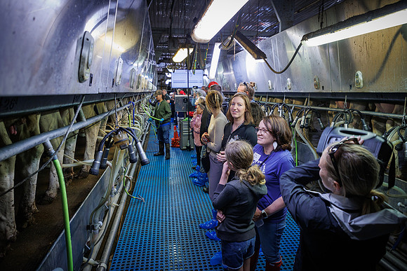 MidwestDairy_cdp_877