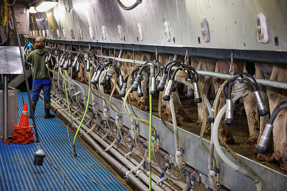 MidwestDairy_cdp_747