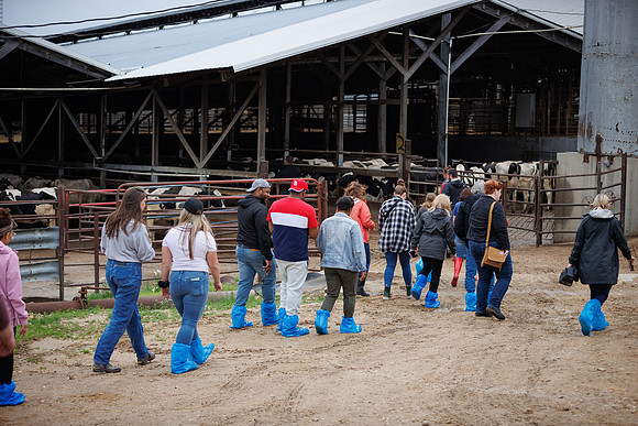 MidwestDairy_cdp_1394