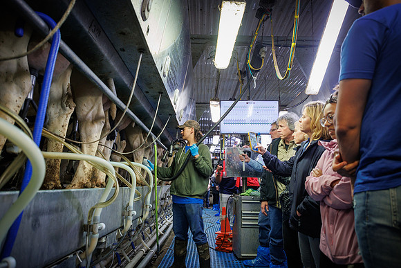 MidwestDairy_cdp_846