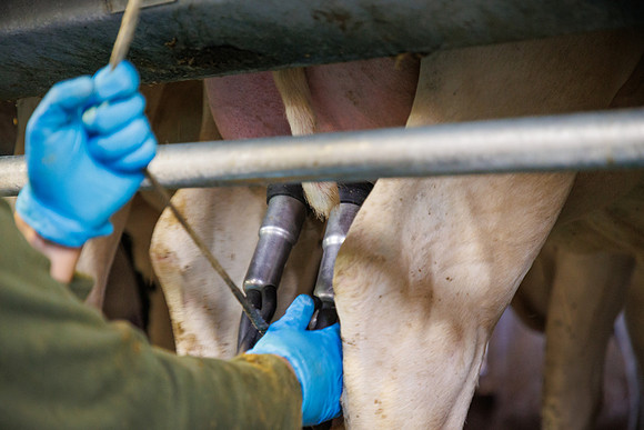 MidwestDairy_cdp_785