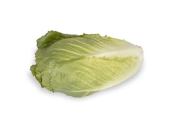 Lettuce_SV3135LG_CA_0039