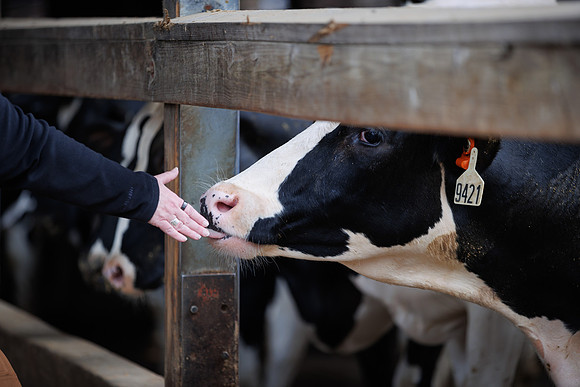 MidwestDairy_cdp_1416