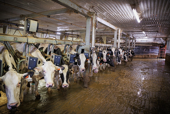MidwestDairy_cdp_1051