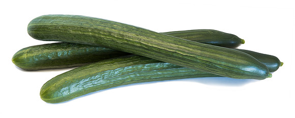Cucumber_DRCE1266_0002