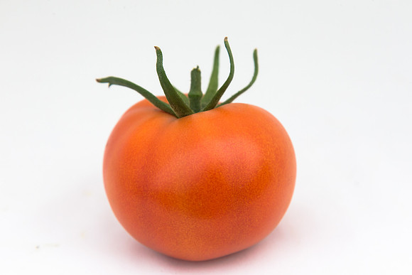 Tomato_Yigido_MX_0073