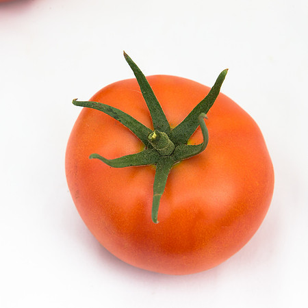 Tomato_Yigido_MX_0081