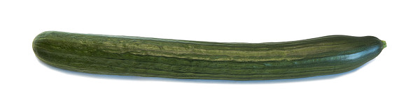 Cucumber_DRCE1266_0014