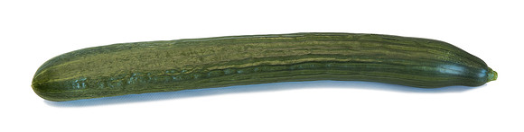 Cucumber_DRCE1266_0009