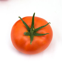 Tomato_Yigido_MX_0075